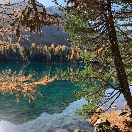 Cuore * Poschiavo